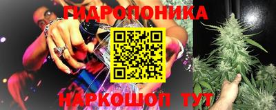ешки Будённовск