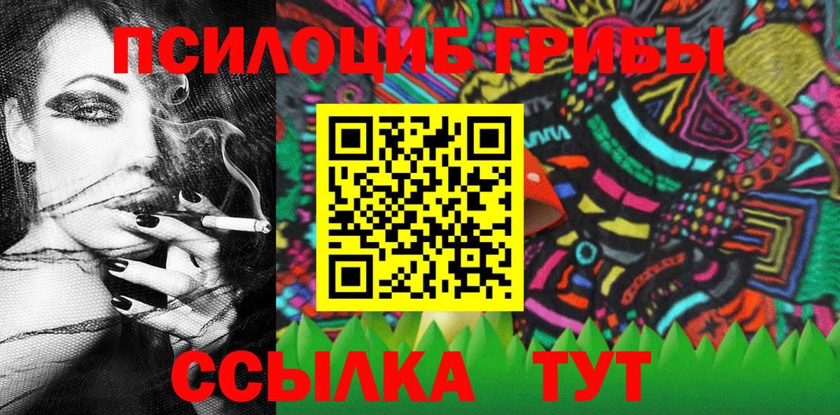 Глазов  Псилоцибиновые грибы Cubensis  Псилоцибиновые грибы мицелий  Вход с VPN 