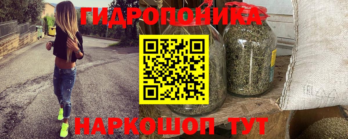 Каннабис Bruce Banner  Канабис индика  Глазов  Бошки марихуана марихуана  Вход с VPN  Конопля планчик 